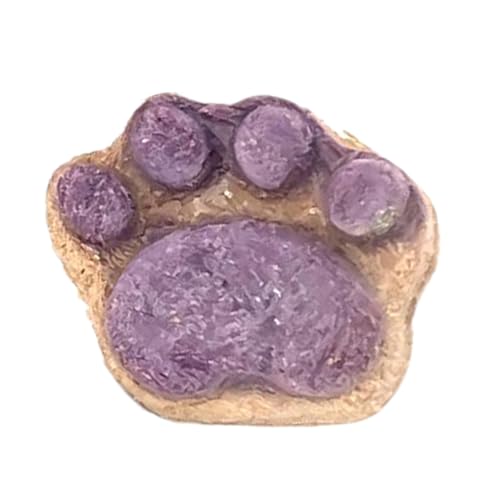 Snacks para Gatos | Alimento Liofilizado De Entrenamiento para Gato Interior - Bocadillos De Limpieza Y Suplemento Nutricional para Tiempo De Vinculación | Recompensas De Entrenamiento Y