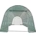 Greenhouse 26'x12' - Large Heavy Duty Green House Hothouse Walk in - 170 Pounds By DELTA Canopies
