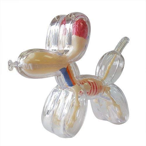 Jason Freeny Mini Balloon Dog Skeleton Anatomy Model, Transparent, 10 Pieces, Small, Children, Youth