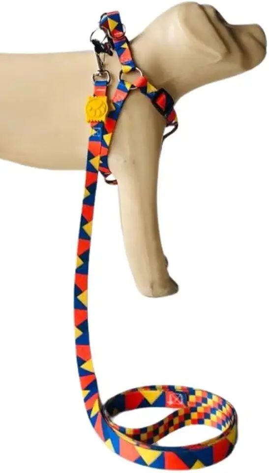 Conjunto Peitoral Coleira com Guia para Cachorros com Pingente para Identificação M, Tamanho Ajustável, Confortável e Resistente