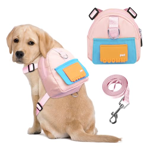 DoggieKit Dog Backpack for Small Dogs to Wear,Cute Pet Puppy Harness Backpacks with Leash Adjustable Dog Self Carrier Bag for Travel Hiking Daily Walking (M, Pink)