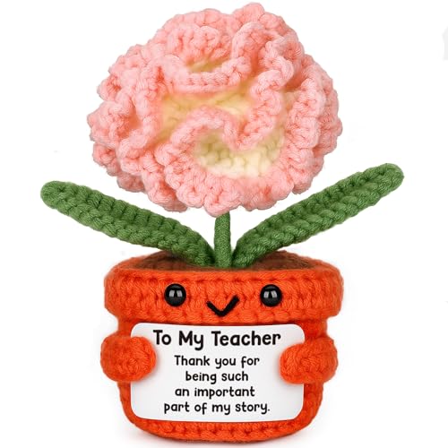 Teacher Appreciation Gifts - Teacher Gifts for Women Mini Handmade Crochet Carnation for Teachers Mentors Professors Tutors Teachers Appreciation Week Thank You Gifts for Women Cheer Up Support Decor