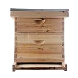 colmena artificial Fácil de instalar: esta colmena es fácil de instalar, hay agujeros preinstalados en cada pieza de madera, solo tienes que utilizar un martillo para instalarla pieza por pieza.