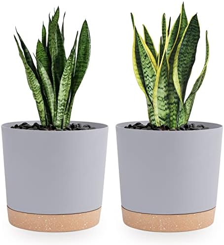 QCQHDU Plant Pots Set of 2 Pack 20cm,Planters for Indoor Plants with Drainage Holes and Removable Base,Saucer Modern Decorative for Outdoor Garden Planters(Green 8in) (Light Grey, 20cm)