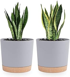 QCQHDU Plant Pots Set of 2 Pack 20cm,Planters for Indoor Plants with Drainage Holes and Removable Base,Saucer Modern Decorative for Outdoor Garden Planters(Green 8in) (Light Grey, 20cm)