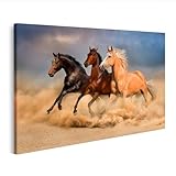 Variante : toile 80 x 40 cm (ID du motif : LTNK)