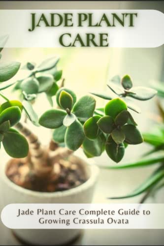 Jade Plant Care: Jade Plant Care Complete Guide to Growing Crassula Ovata Jade Plant Care: Jade Plant Care Complete Guide to Growing Crassula Ovata