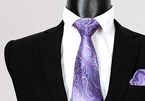 Alizeal Paisley Men's Tie And Pocket Square Sets (59" Length X 3.5" Width, Lilac) #TOP1