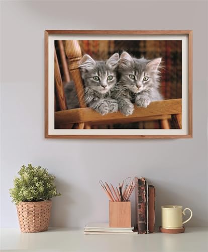 Puzzle Compact 500 pièces : Chatons Clementoni Puzzles - vue 7