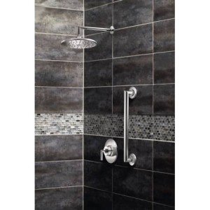 Moen Arris Fırçalanmış Nikel 14 İnç Rainshower Düz Duş Kolu ve Flanşı, S110BN