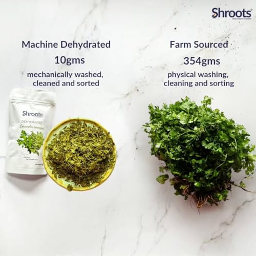 Image of SHROOTS Dehydrated Coriander Leaves | 100% Natural & Aromatic | Essential for Cooking, Garnishing & Health Benefits | Rich in Flavor & Nutrients | 50g Each, Pack of 2