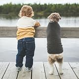 Hjumarayan Hundepullover Kleine Hunde - Hundeshirt Dünn Hunde Pullover Sonnenschutz Tshirt Elastisch Hundepulli Gestreifte Shirt Pullis für Chihuahua Yorkshire Terrier (Schwarz/Grau XXS)