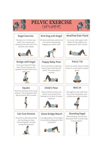 Women Pelvic Floor Exercise Chart Poster Pelvic Muscle Health Bladder