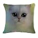 Produktbild Rosennie Katze Platz Dekorative Kissenbezug Baumwoll Leinen Pillowcase Auto Sofa Schlafzimmer Kissenbezüge 45 x 45cm Bett Kissen Cover Sofa 3D Bettwäsche Zierkissenbezüge Kopfkissen (C1)
