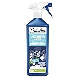 JACQUES BRIOCHIN – Geruchsreiniger in Schaumtextur – Mit Natron – Gegen Fett & schlechte Gerüche – Vielseitiger Haushaltsreiniger – Duft Zitronenverbene – Schnelltrocknend – 750 ml