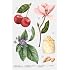 Zara Violet Blossom Perfume for Women EDP Eau De Parfum 30 ML (1.0 FL. OZ)