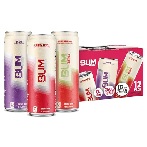BUM Sugar-Free Energy Drink, Fruit Variety Pack - Lightly Carbonated Pre Workout Energy Drink with Natural Caffeine & Nootropics for Focus - Vegan & Keto Friendly Sports Beverage - 12 oz, Pack of 12