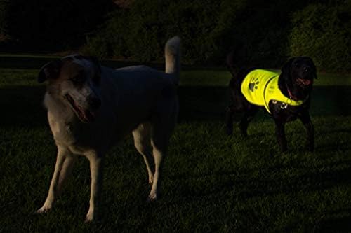 Dog Safety Yellow Reflective Vest With Leash Hole 5 Sizes - High Visibility for Outdoor Activity Day and Night, Keep Your Dog Visible, Safe From Cars & Hunting Accidents | By 4LegsFriend (Medium)