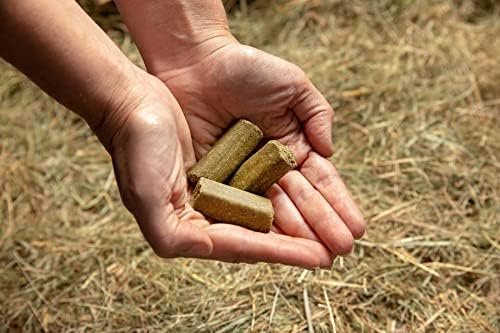 SPILLERS Horse Treats 2 Pack  Apple 1kg and Spearmint 1kg  Delicious Treat to Reward Horses and Ponies