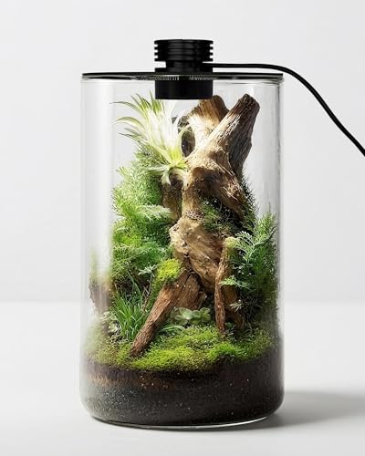 Desktop Glass Terrarium with Grow Light (9.8" H x 5.9" D)，Plant Lover Gifts