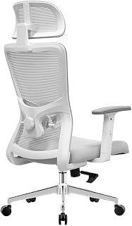 Ergo throne Rocknova Ergonomic Office Chair for Work | 5 Year Warranty | Multi-Lock Auto-Adapt Recline | 1D Armrest | Adju... Price In India