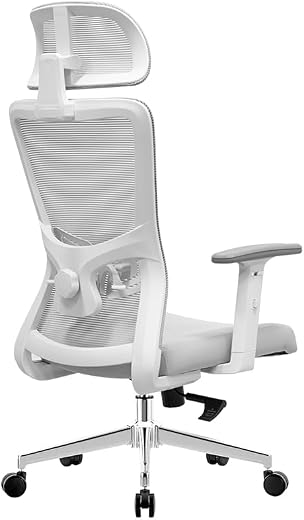 Ergo throne Rocknova Ergonomic Office Chair for Work | 5 Year Warranty | Multi-Lock Auto-Adapt Recline | 1D Armrest | Adju...