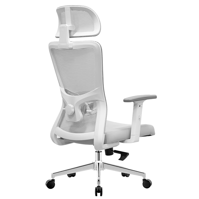 Image of Rocknova Ergonomic Office Chair for Work | 5 Year Warranty | Multi-Lock Auto-Adapt Recline | 1D Armrest | Adjustable Lumbar (D86 Grey)