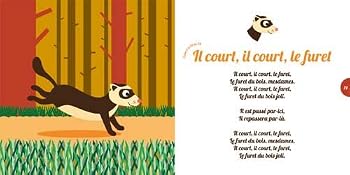 Paperback COMPTINES DES ANIMAUX POUR ENFANTS SAGES [French] Book