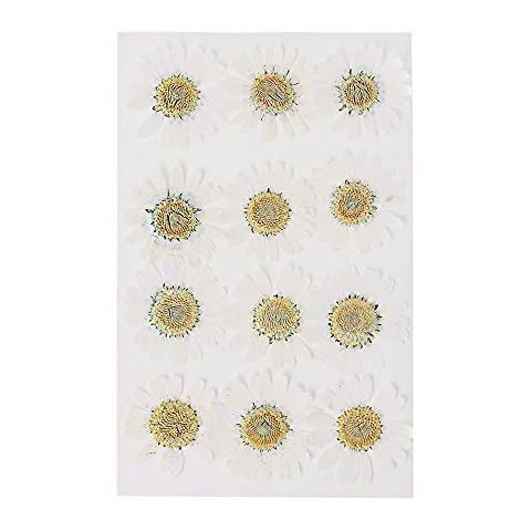 HelanHS DIY Daisy Dried Flower Pressed Jewelry Making Crafts Resin Art Artificial Decorations(white) Cover