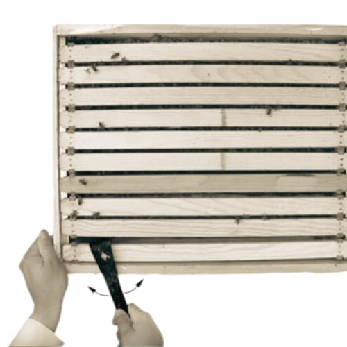 Image of ANP BEE Honey Bee Hive Tool Stainless Steel J Hook Scraper, Heavy Duty Beekeeping Tool for Frame Lifting, Scraping & Hive Maintenance, Durable Rust-Resistant Apiary Equipment, Pack of 1