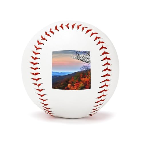 Balle de baseball bleue à motif odonata, le cadeau idéal pour collectionneurs