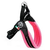 TRE Ponti RR202AR Easy Fit Mesh Classic Neon, Größe 2, orange
