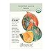 Organic Lakota Winter Squash Seeds - 2 grams - Botanical Interests