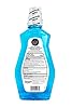 Amazon Basics Multi Action Antiseptic Rinse, Alcohol Free, Fresh Mint, 1 Liter, 33.8 Fluid Ounces, 1-Pack (Previously Solimo) #1