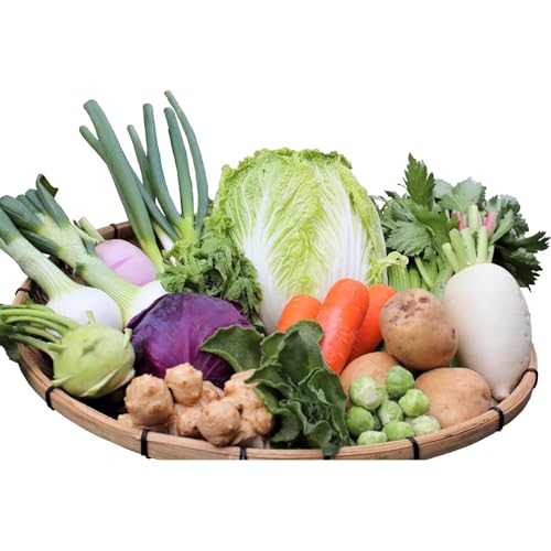 [2回定期便]選べる!お届け回数&日時 本日のお野菜セット(大サイズ/約15〜17種)