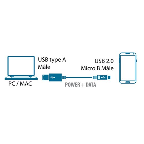 MCL Câble transfert de données MC922AHB 2M 2 USB 4 aiguilles Type A Mâle USB 5 Aiguilles Micro Type B Mâle USB - vue 3