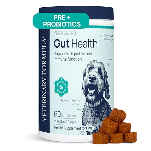 Veterinary Formula Gut Health Supplement for Dogs – Vet-Formulate...