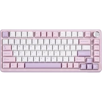 Teclado mecânico sem fio B75 PRO, 75% junta de teclado para jogos, teclado personalizado Hot Swap com botão, interruptores pré-lubrificados RGB, Bluetooth/Tipo-C/2,4G (Purple)