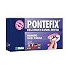 Pontefix - Cemento Dentale per Fissare Ponti, Capsule Dentali e Denti Pivotanti