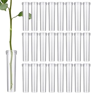Zocipro 100Pcs Floral Tubes Plastic, 10ml Flower Water Tubes, Reusable Flower Tubes with Lids for Flower Decoration, Flower Arrangements 2.8x0.7 Inch