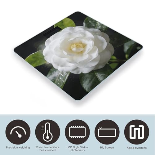 Báscula de baño digital con pantalla LCD y base antideslizante miniatura 3
