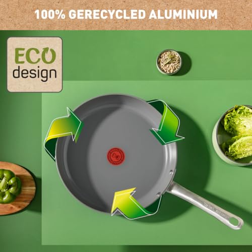 Tefal Poêle C4240253 gris aluminium Ø 20 cm