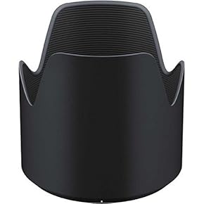 Amazon.co.jp: 交換レンズアクセサリ - カメラ: 家電＆カメラ