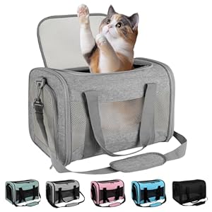IONRIVER Faltbare Katzentragetasche Haustier-Reisetasche