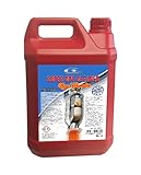 3RG INDUSTRIAL - Concentrado Limpieza Dpf (5L.) - OEM 210024 - Piezas para Coche Recambios Motor y Otras Partes de Vehículo - Compatible con los distintos Modelos de Coche.