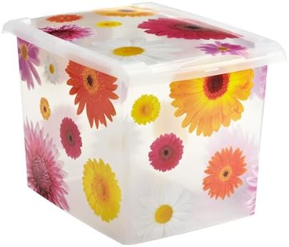 Amazon.com: The Container Store Storage Box : Everything Else