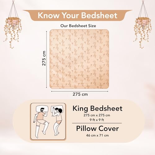 Image of Divine Casa 210 TC Cotton King Bedsheet, Coral Sands, 275x275cm