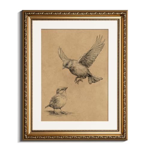 VIYYIEA Vintage Gold Framed Bird Sketch Wall Art for Bathroom, 13x16 Inch