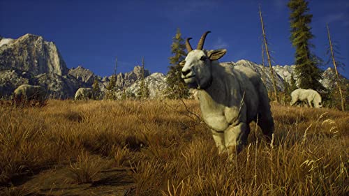 ウェイオブザハンター - PS5