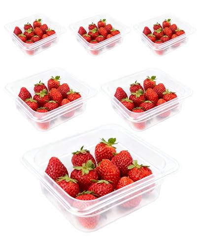 WELKOR 6 Pack Polypropylene Food Storage Containers for Party, Catering, Home kitchens Meal Prep,BPA-Free Stackable -40℉-160℉(1.1QT(1.1L), 1/6 size 2.5 inch deep)